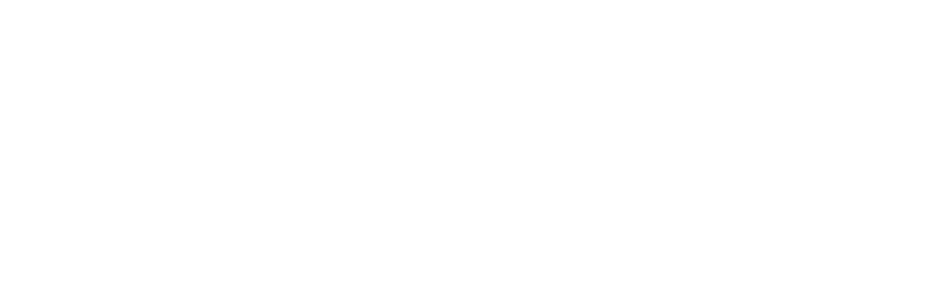 taim iraq logo