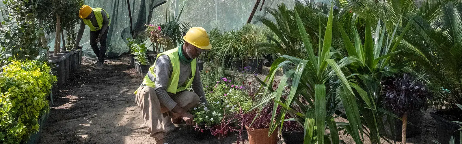 Integrated Residential Communities